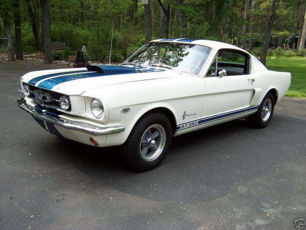 1965 Ford mustang shelby cobra #6