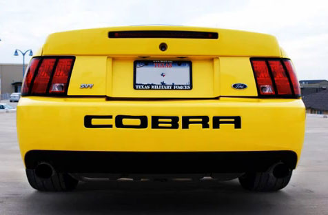 2004-Cobra-SVT.jpg