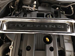 Dress Up Underhood-stang1.jpg