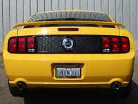 Anyone have slotted tail light covers?-1377.jpg