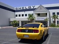 Anyone have slotted tail light covers?-2346shelbyvegas1.jpg