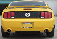 Anyone have slotted tail light covers?-2072.jpg