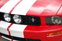 Need your opinions on grille replacement option!!!-dsc_0028.jpg