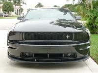 gt500 splitter?-lower-fog1.jpg