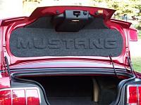 Trunk Lid Mats- Post your pics and where you got it!-mat_mustang_with-ext.jpg