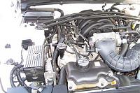 ENGINE APPEARANCE CHEAP-mustang-4-2010-008.jpg