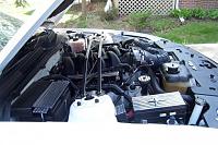 ENGINE APPEARANCE CHEAP-mustang-4-2010-012.jpg