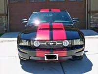 Show Me Your Stripes-car-2010-001.jpg