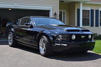 show off your black stang.-dsc_0964-1280x853-.jpg