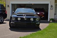 show off your black stang.-dsc_0965-1280x853-.jpg