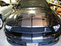 show off your black stang.-snake.jpg