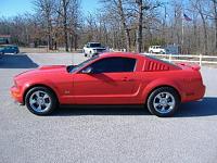 35% Torch Reds-stang-side.jpg