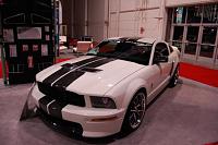 05 going from Roush to GT500 hood question-gt500.jpg