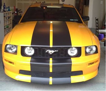 Name:  Stang_zps112aff18.jpg
Views: 151
Size:  56.1 KB