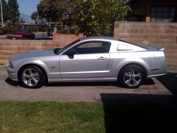 Name:  stang3.jpg
Views: 627
Size:  51.7 KB