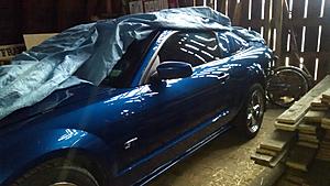 Side Mirrors?-mustang-with-2011-mirror.jpg