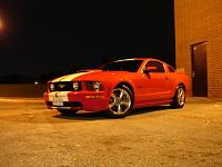 Check it out!-stang1.jpg