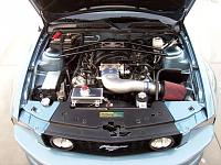 Please post your engine bay dress up pictures!-enginecompartment5.jpg