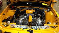 Please post your engine bay dress up pictures!-enginepaint.jpg
