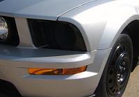stages of my mustang-dscf2879.jpg