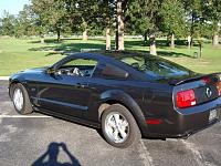 Alloy stang with Honeycomb blackout panel and black tail light bezels-dsc00063.jpg