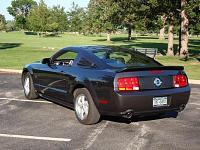 Alloy stang with Honeycomb blackout panel and black tail light bezels-dsc00064.jpg
