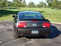 Alloy stang with Honeycomb blackout panel and black tail light bezels-dsc00065.jpg