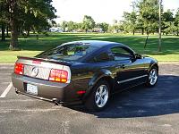 Alloy stang with Honeycomb blackout panel and black tail light bezels-dsc00066.jpg