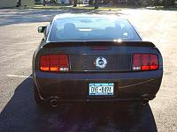 Alloy stang with Honeycomb blackout panel and black tail light bezels-dsc00074.jpg