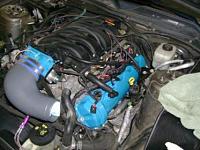 PAINTED VALVE COVER PICS........-drivers-side.jpg