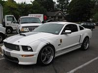To stagger or not?-nice-shelby22.jpg
