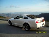 Post pictures up of any stangs with rear window louvers!!-100_0203.jpg