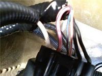GT500 pumps, saleen harness ? blue wire/red stripe?!?!-stock-connector-fdpm.jpg