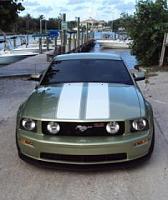 Six Months After Purchase of Bone Stock Stang-dsc00108.jpg