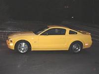 Screaming Yellow Mustang-mustang-pic.jpg
