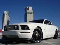 Who owned a 2006 Ford Mustang GT, 20&quot; Black Zenetti Wheels and Black Spoiler in Vegas-stang.jpg