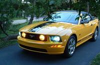 Show the best pictures you have ever taken of your stang!-dscf0007.jpg
