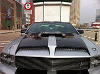 A HOODSCOOP ON MY fiberhood advise ?-mustangscoop3.jpg