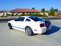 Post your MODIFIED S197 Mustang!!!! Bragging thread&gt;&gt;-mustang-rear1.jpg
