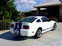 Post your MODIFIED S197 Mustang!!!! Bragging thread&gt;&gt;-mustang-rear2.jpg