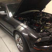 Roush Supercharger Squeal-pic2.jpg