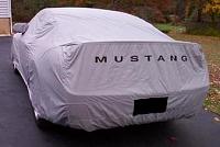 ANyone know of a good car cover?-ctmpphplfdsqr.jpg
