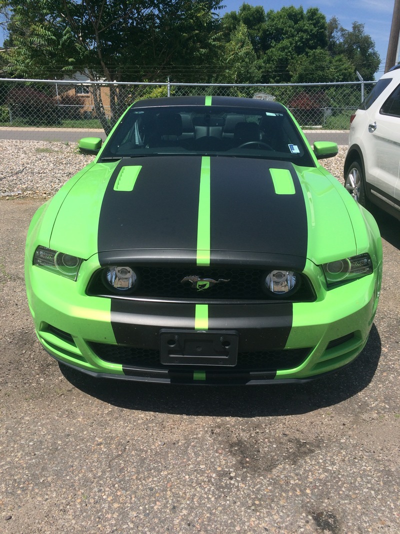 Gotta Have It Green price and available - MustangForums.com