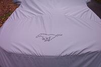  Looking for a S197 Car Cover-tmpphp3o0lhb.jpg