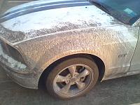 Moved to Houston...my POOR Mustang! (Pics inside)-dirty-car-1.jpg