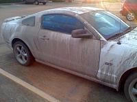 Moved to Houston...my POOR Mustang! (Pics inside)-dirty-car-3.jpg