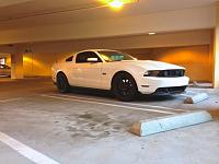 Calling all Owners of white Mustangs-img_5680.jpg