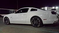 Mustang Rear and Quarter Louvers-11128834_10153282680841337_3605944547143705507_o.jpg