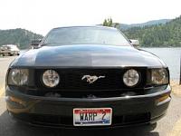 What does your personalized license plate say?-mustang-018.jpg