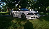 New to Forums/First Mustang!!!-img_0242.jpg